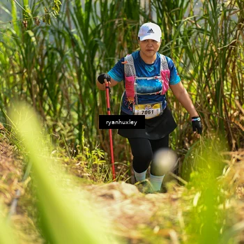 Runner Photo 5279532