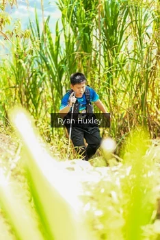 Runner Photo 5279582