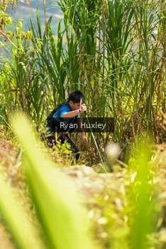 Runner Photo 5279583