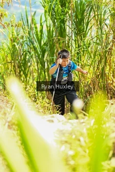 Runner Photo 5279585