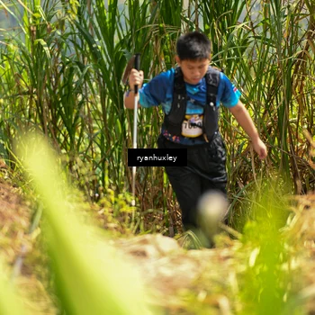 Runner Photo 5279595