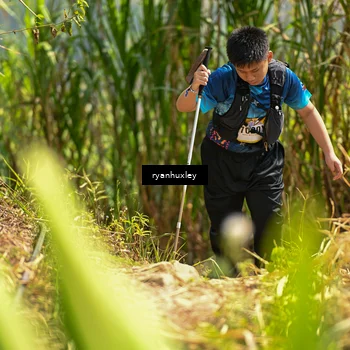 Runner Photo 5279618