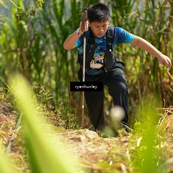 Runner Photo 5279623