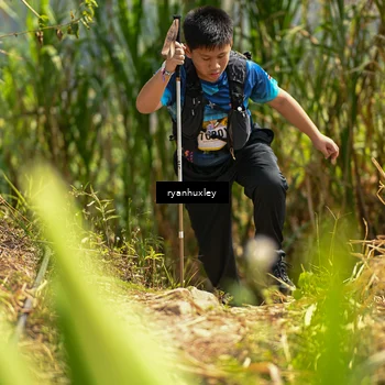 Runner Photo 5279624