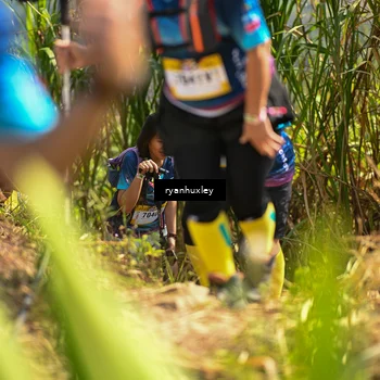 Runner Photo 5279656
