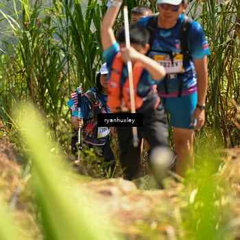 Runner Photo 5279657