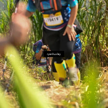 Runner Photo 5279660
