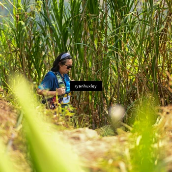 Runner Photo 5279662