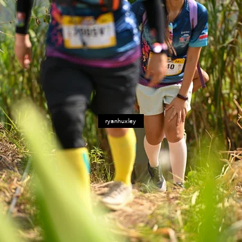 Runner Photo 5279663