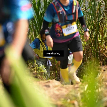 Runner Photo 5279664