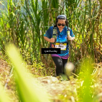 Runner Photo 5279683