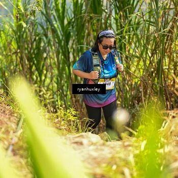Runner Photo 5279685