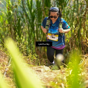 Runner Photo 5279699