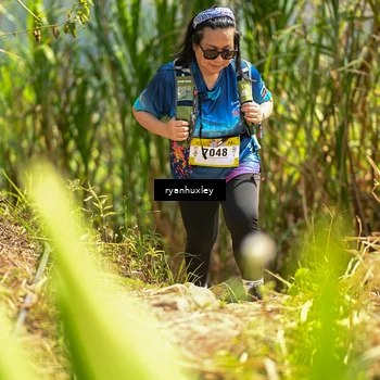 Runner Photo 5279708