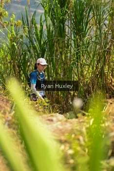 Runner Photo 5279712