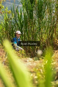 Runner Photo 5279713