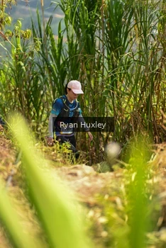 Runner Photo 5279715