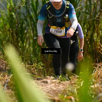 Runner Photo 5279747