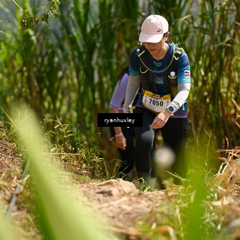 Runner Photo 5279762