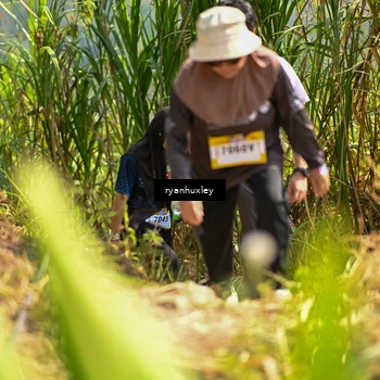 Runner Photo 5279780