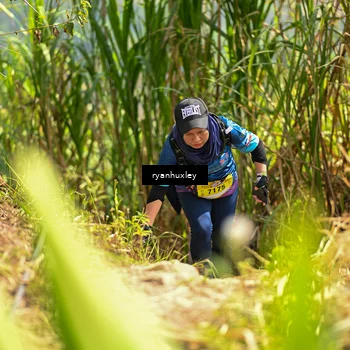 Runner Photo 5279790