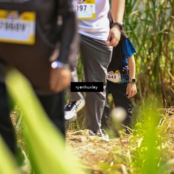 Runner Photo 5279793