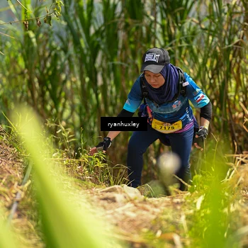 Runner Photo 5279799