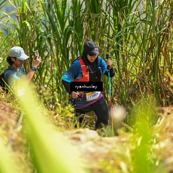 Runner Photo 5279861