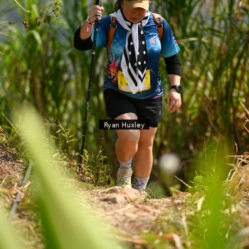 Runner Photo 5279862