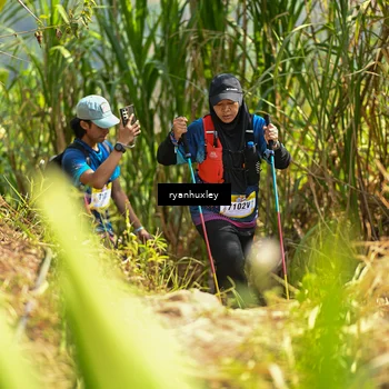 Runner Photo 5279865