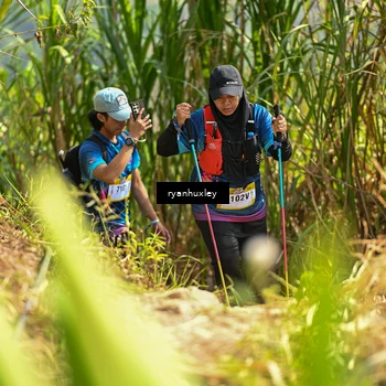 Runner Photo 5279870