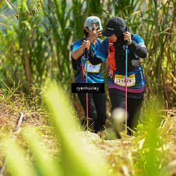 Runner Photo 5279879
