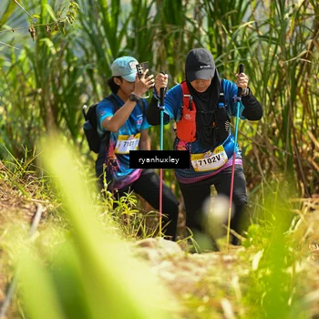 Runner Photo 5279881