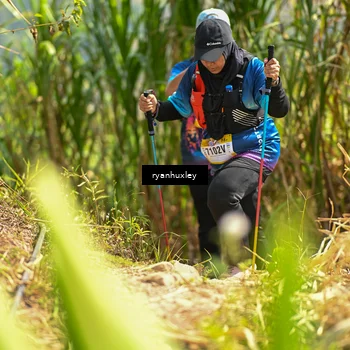 Runner Photo 5279892