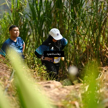 Runner Photo 5279902