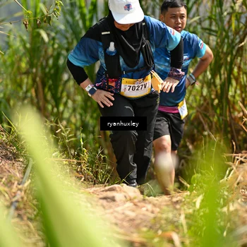 Runner Photo 5279926