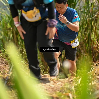 Runner Photo 5279933