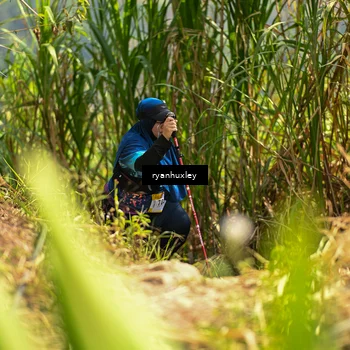 Runner Photo 5279953