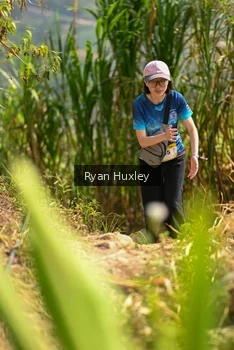 Runner Photo 5280011