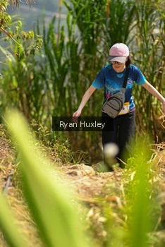 Runner Photo 5280015
