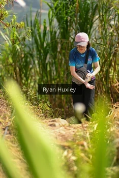 Runner Photo 5280016
