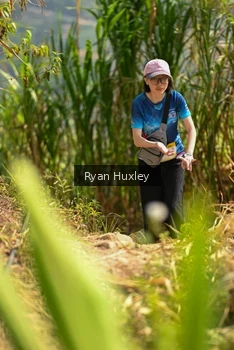 Runner Photo 5280017