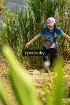 Runner Photo 5280018