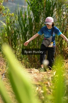 Runner Photo 5280019