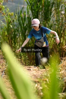 Runner Photo 5280021
