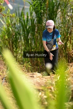 Runner Photo 5280022