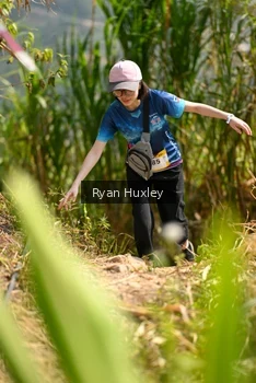 Runner Photo 5280023
