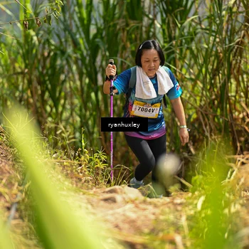 Runner Photo 5280032