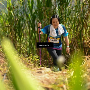 Runner Photo 5280035