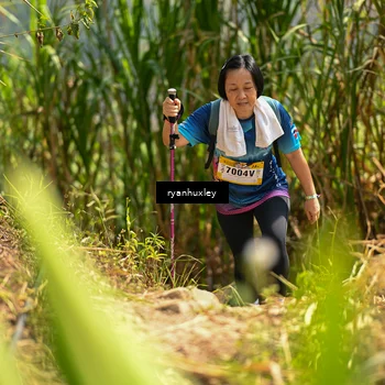 Runner Photo 5280039
